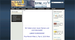 Desktop Screenshot of labreinhart.at